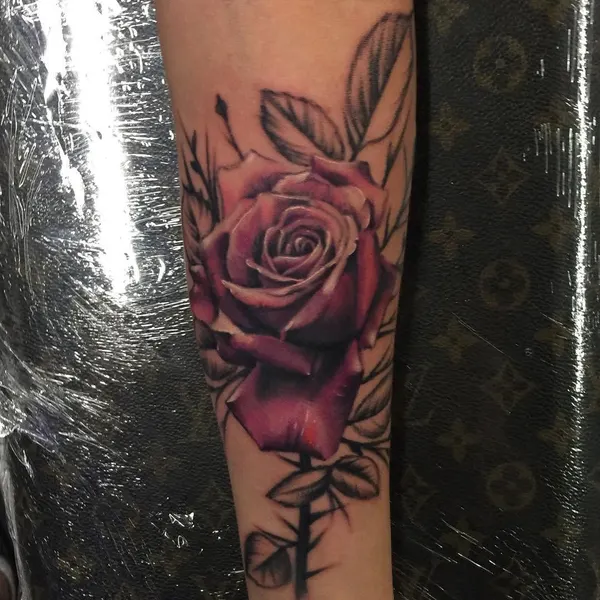 Flower, Rose