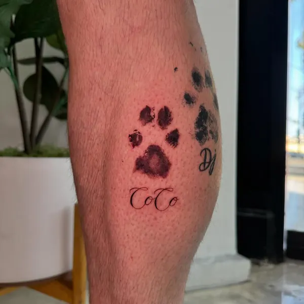 발자국, Animal