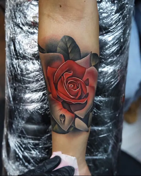 Flower, Rose