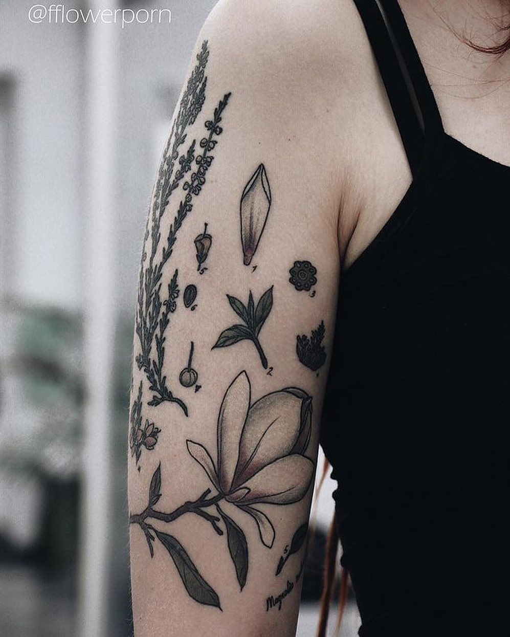 Flower, Rose