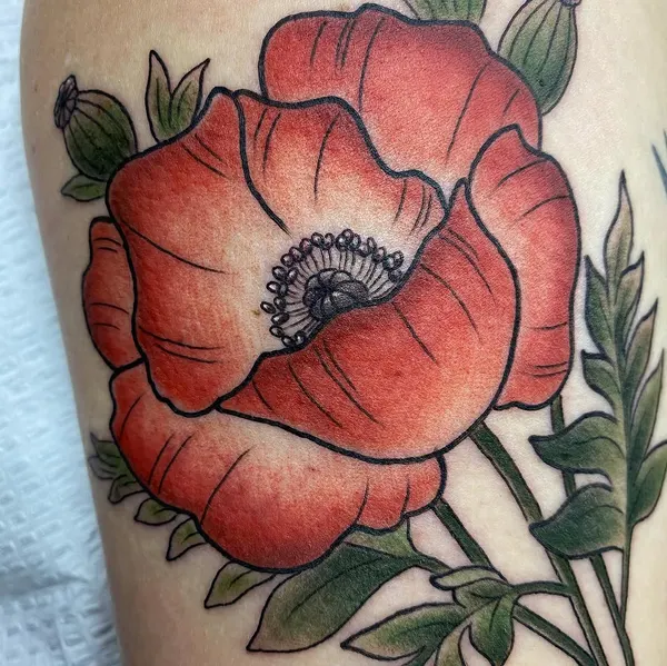 Flower, Rose, 양귀비