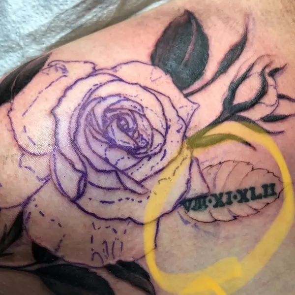 Flower, Rose, Nature