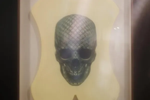 Skull