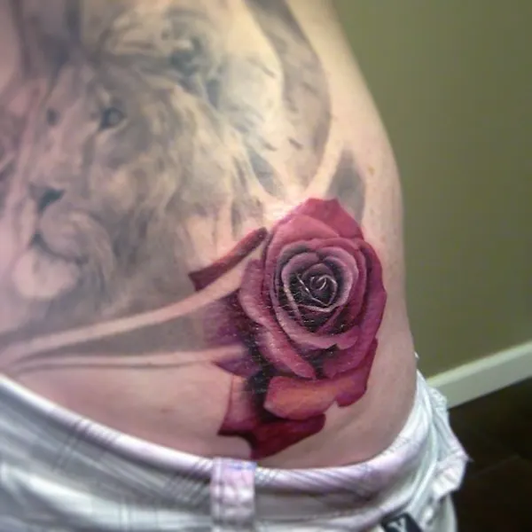Tiger, Rose