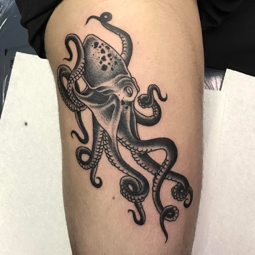 문어, Animal