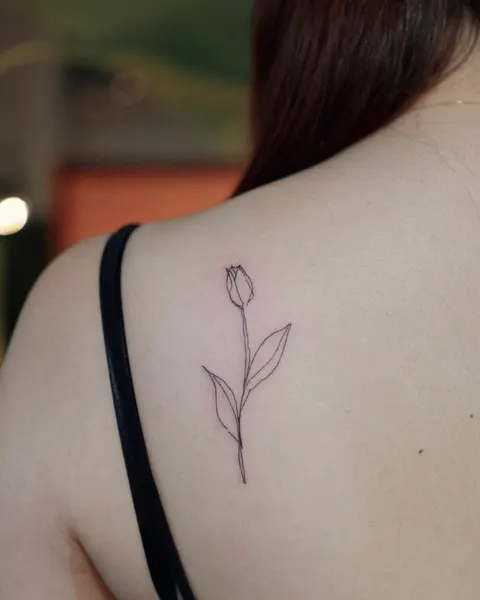 Flower, Nature, Rose