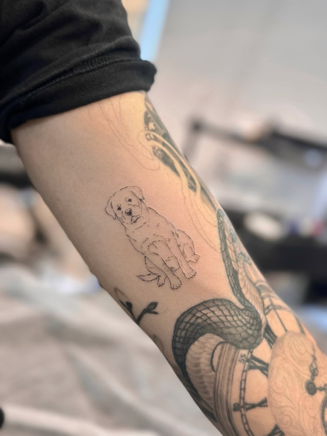 baronarttattoo