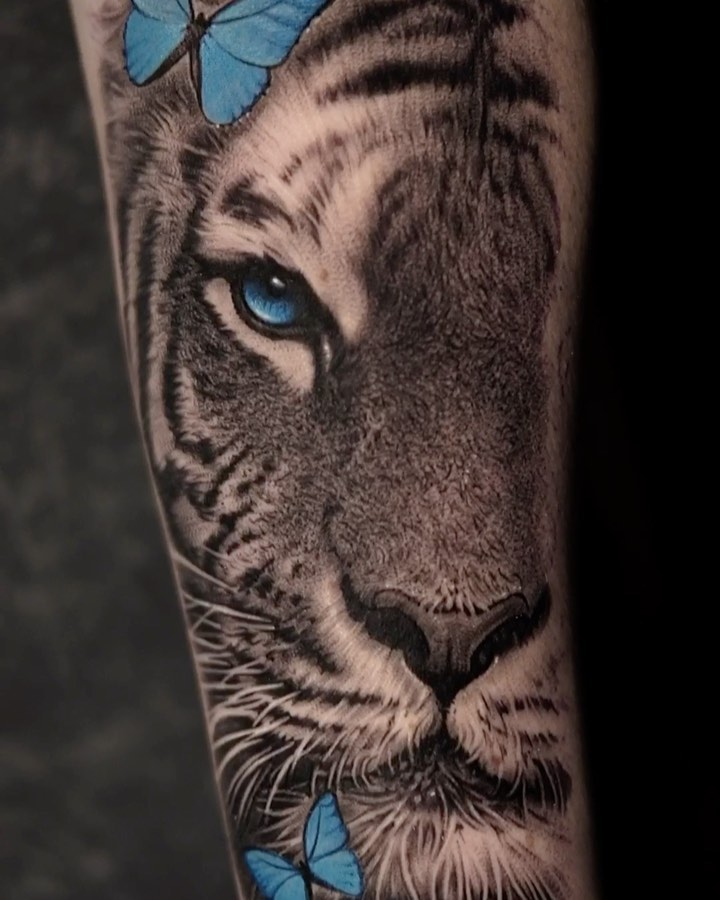 Tiger