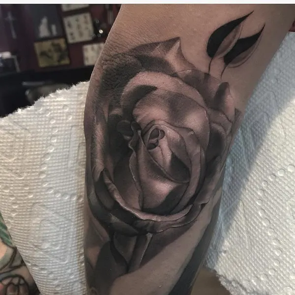 Flower, Rose