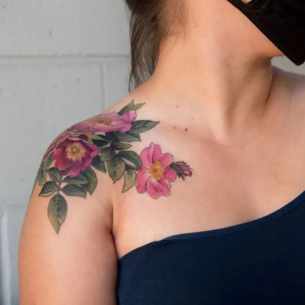 매화, Flower, Rose, Nature, 모란, 목련, 탄생화