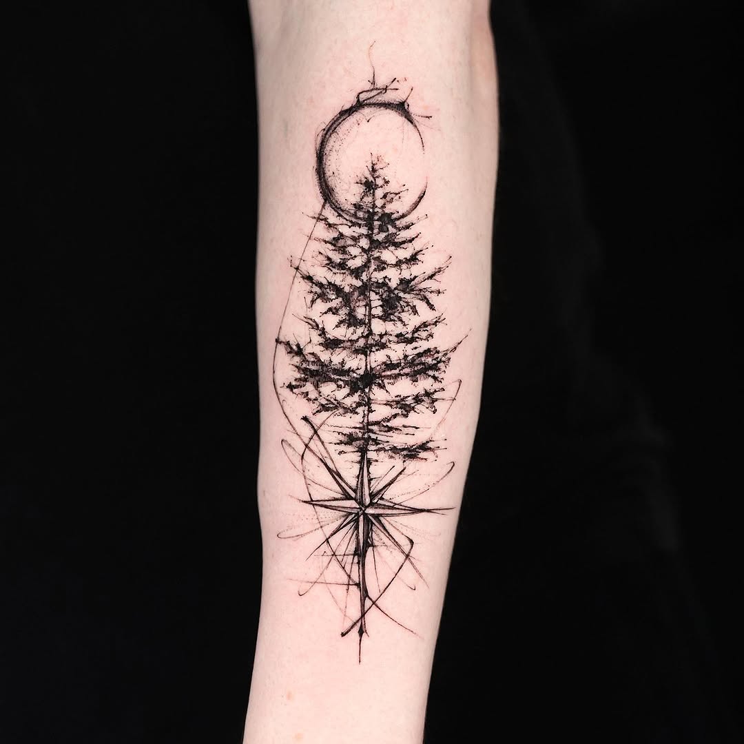 Nature, 소나무, 숲, 나무, 고사리