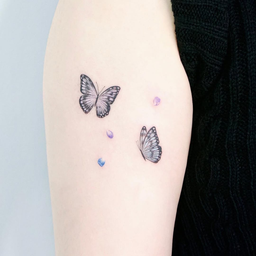 Nature, Animal, 나방, 나비