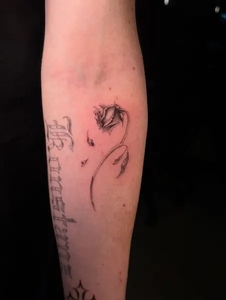 tatsbyjenni