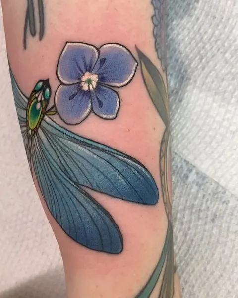 벌새, Nature, Animal, 잠자리