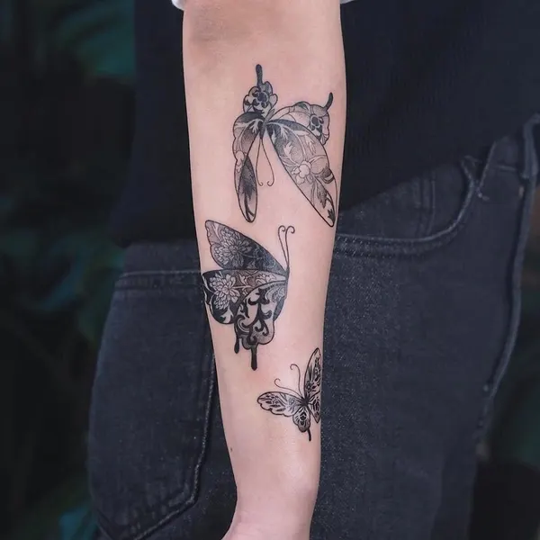 Animal, Nature