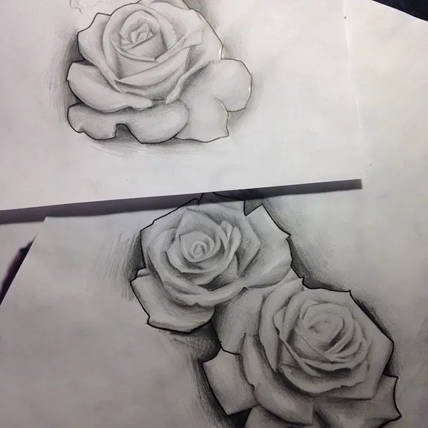 Flower, Rose