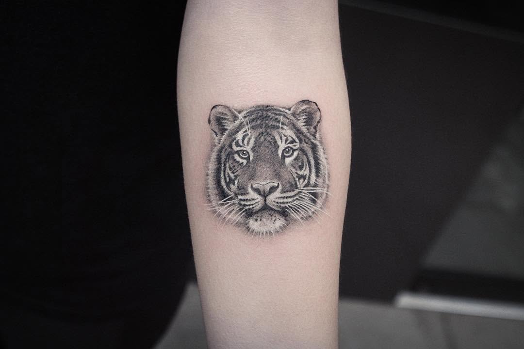 Tiger, 치타, 표범, 재규어, 중국 호랑이