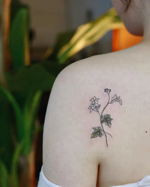 Flower, Nature, Rose