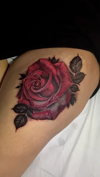 Flower, Rose