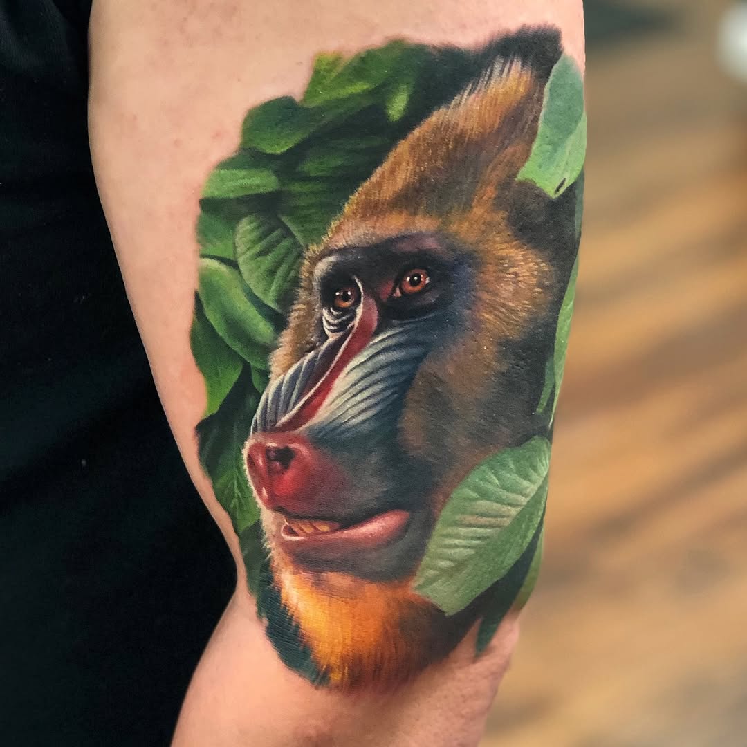 Tiger, Animal
