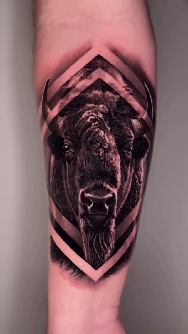 양, 황소, 고릴라, 멧돼지, Animal