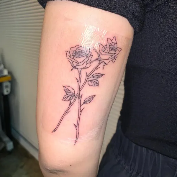 Flower, Rose