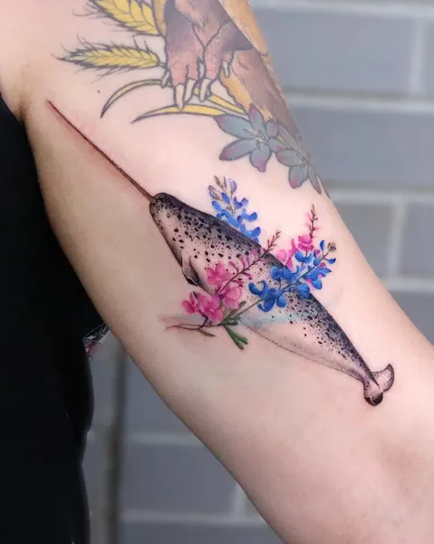 Animal, Nature, 나방