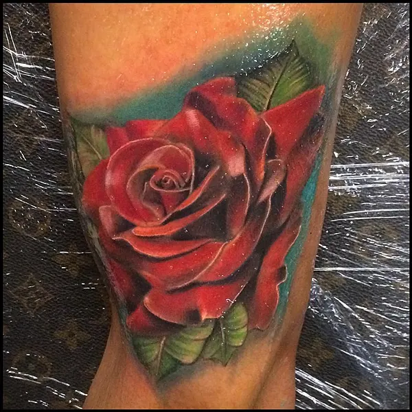 Flower, Rose