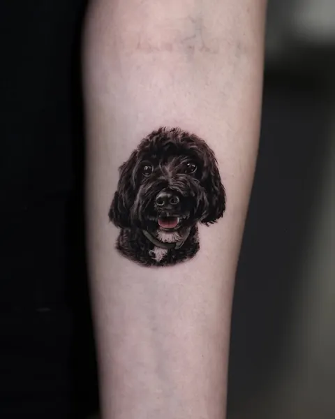Animal