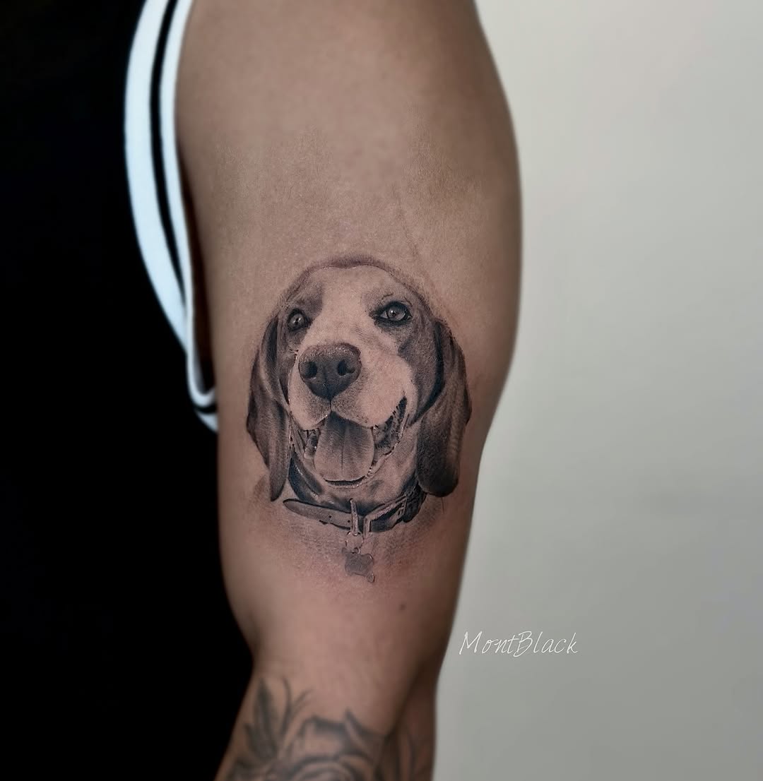 Animal, 강아지