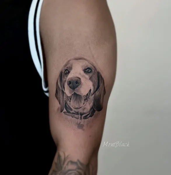 Animal, 강아지