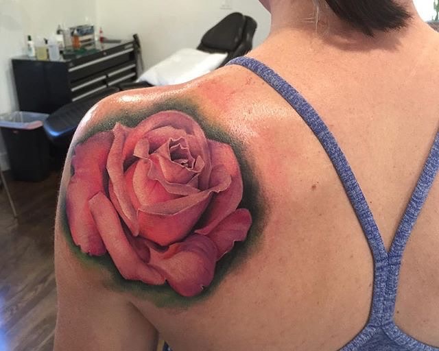 Flower, Rose