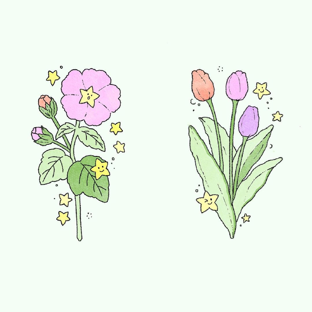 Flower
