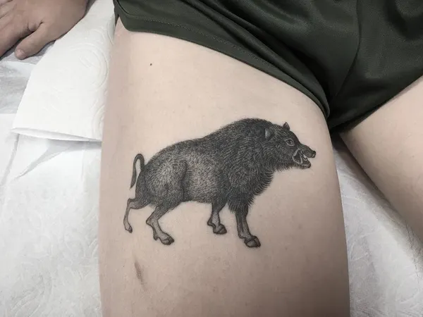 소, Dragon, 염소, 양, 돼지, 함사, 너구리, 멧돼지, Animal, 텐구, 그리핀, 양자리