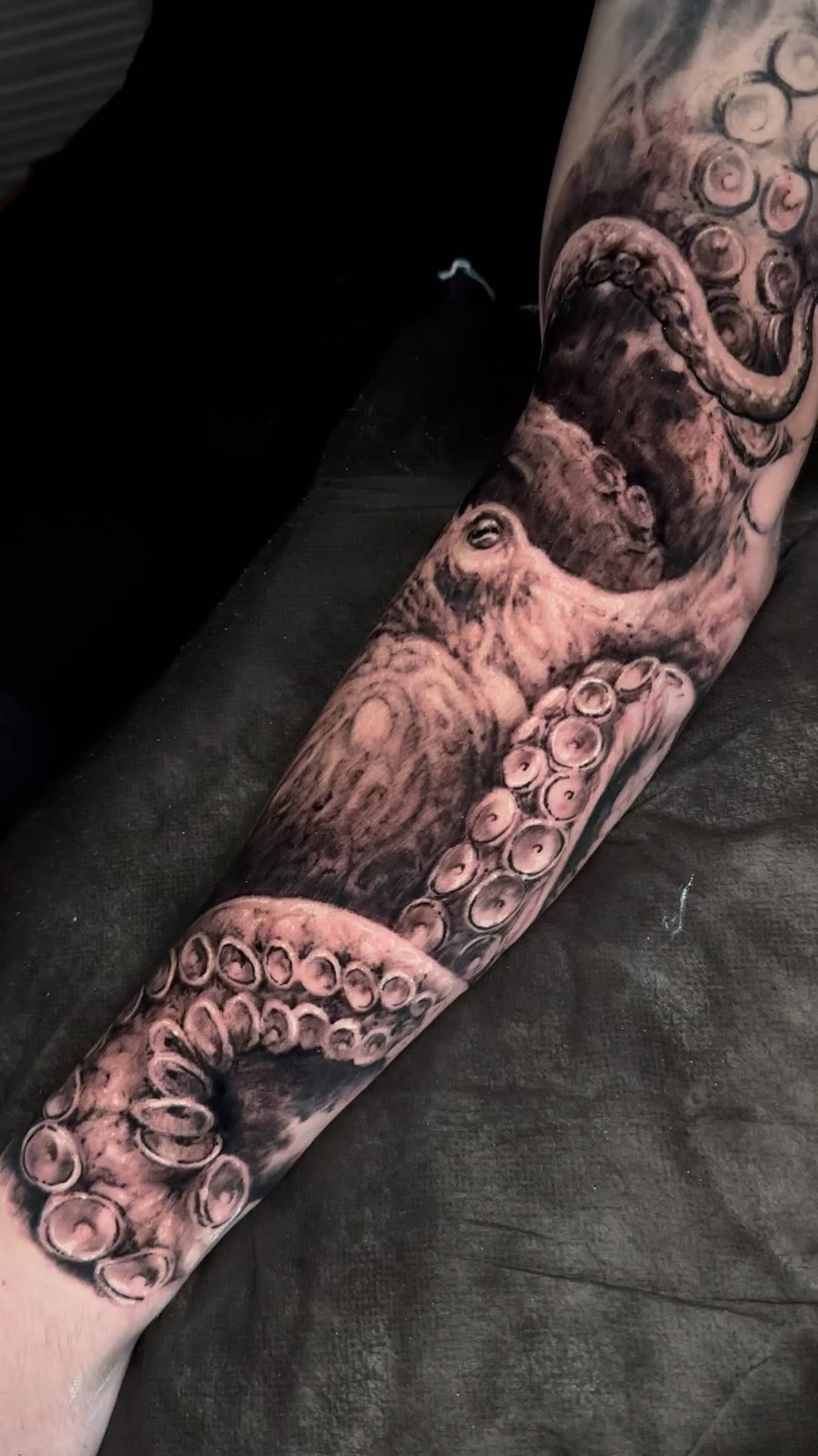 Animal