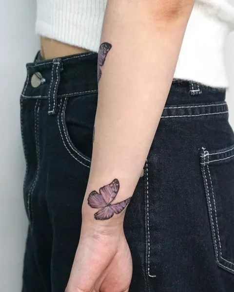 Animal, Nature, 나비