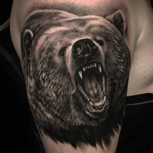 Animal, 곰