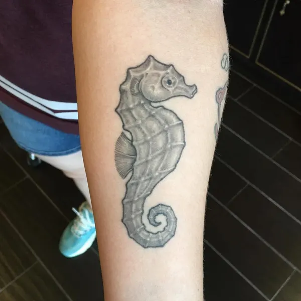 Dragon, 해마