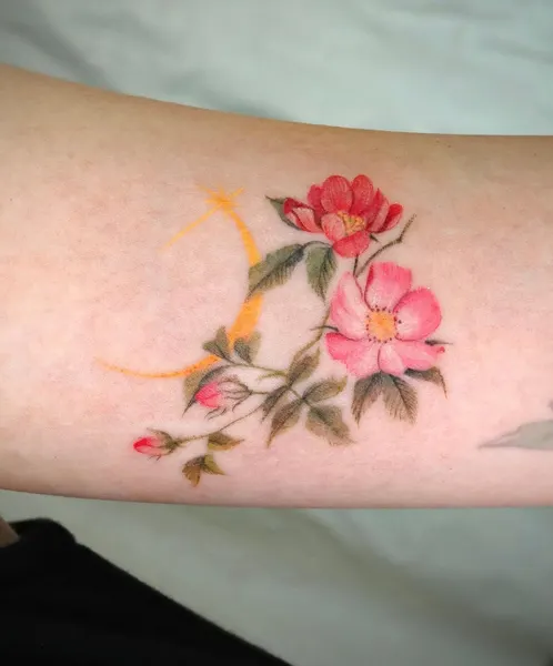 Flower, Rose