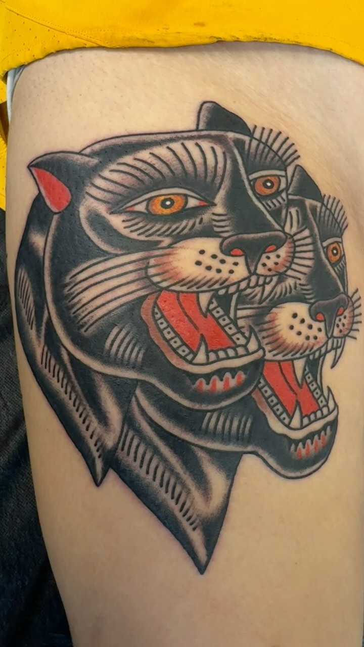 Tiger, Animal