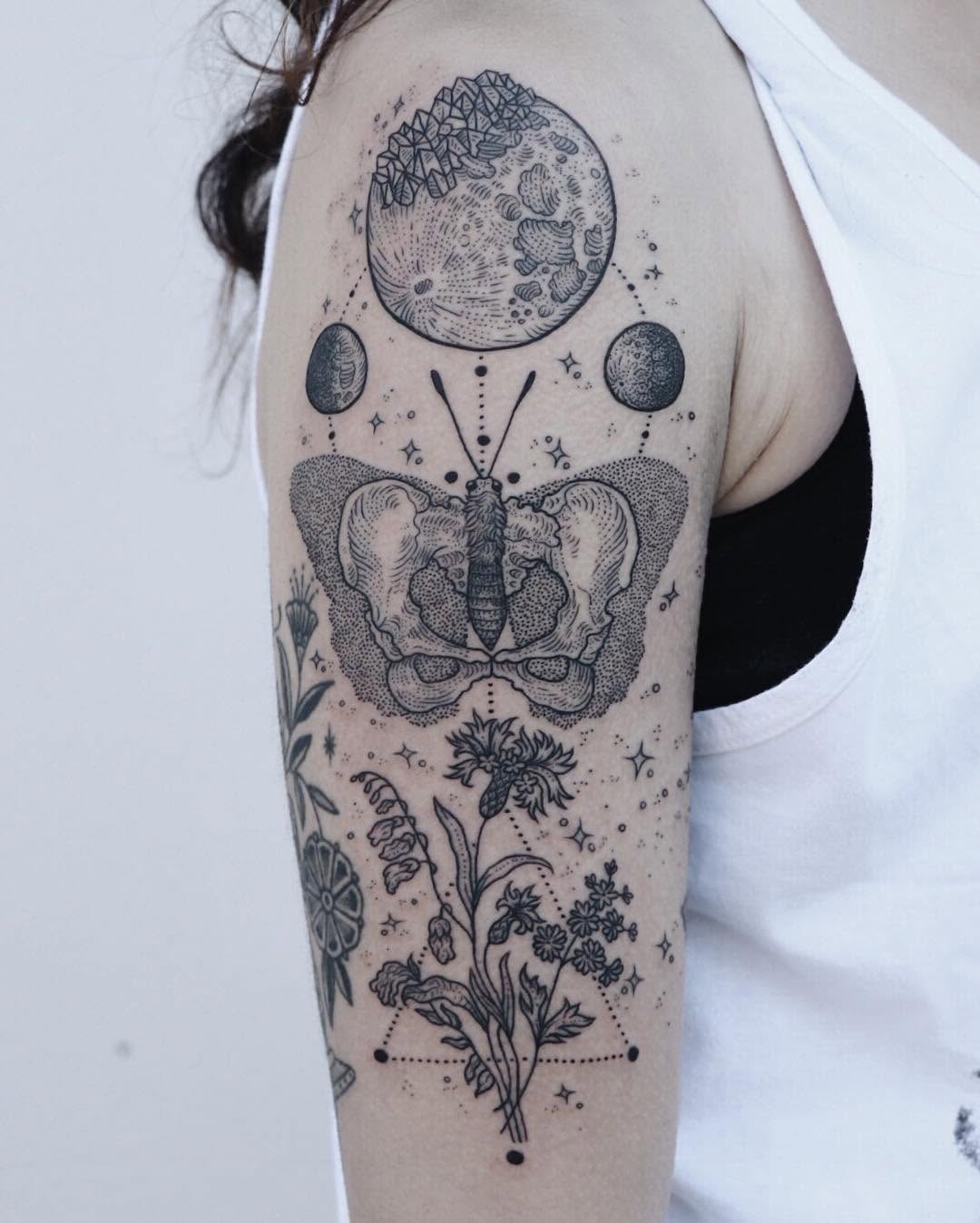 Animal, Nature