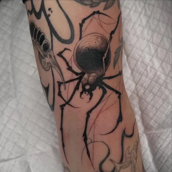 Animal