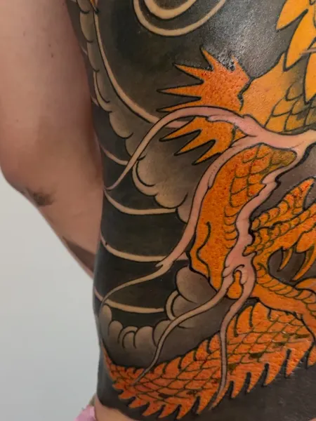 Dragon, 해부학