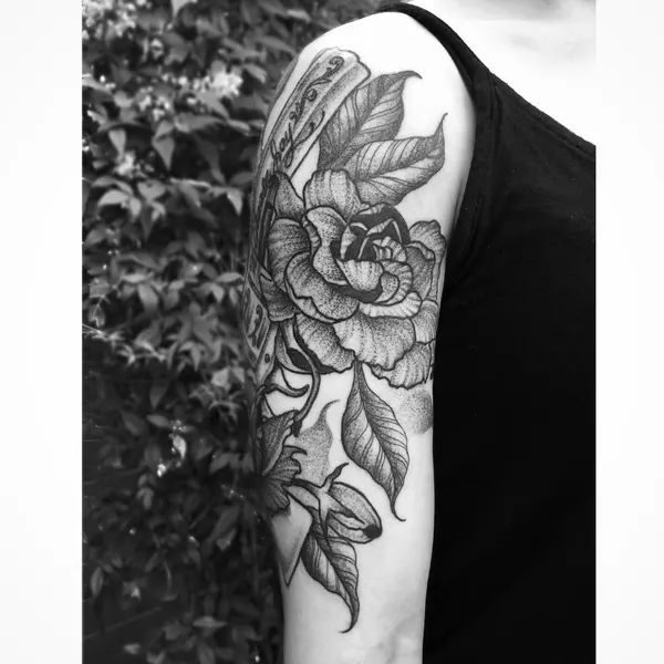 Flower, Rose