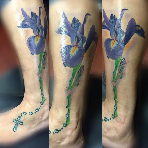 Flower, 백합, 난초, 튤립, 아이리스