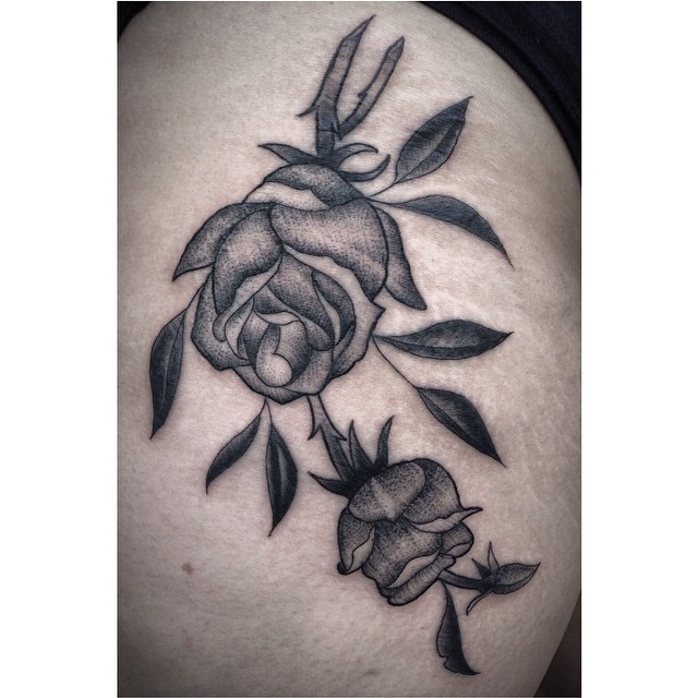Flower, Rose, Nature