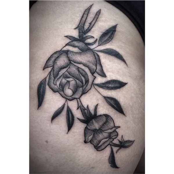 Flower, Rose, Nature
