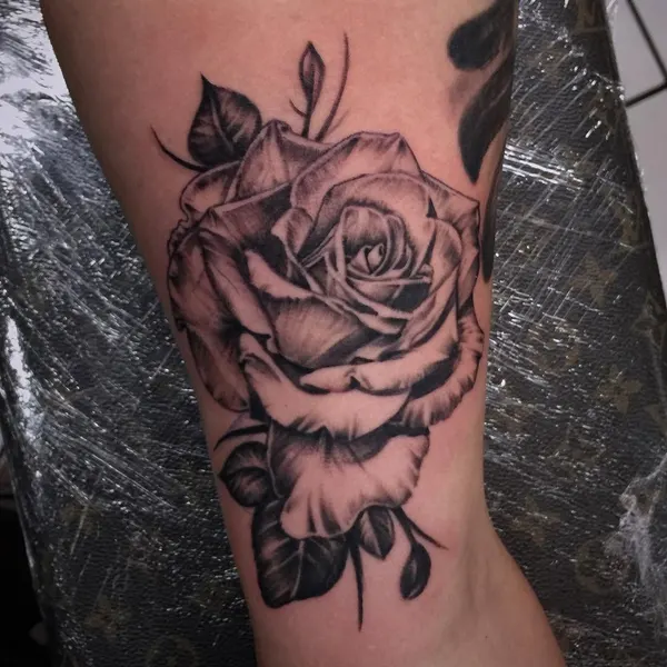 Flower, Rose