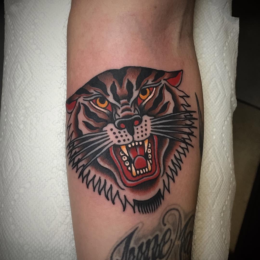 Tiger, Animal