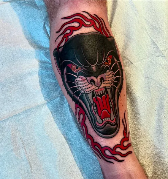 Tiger, Animal